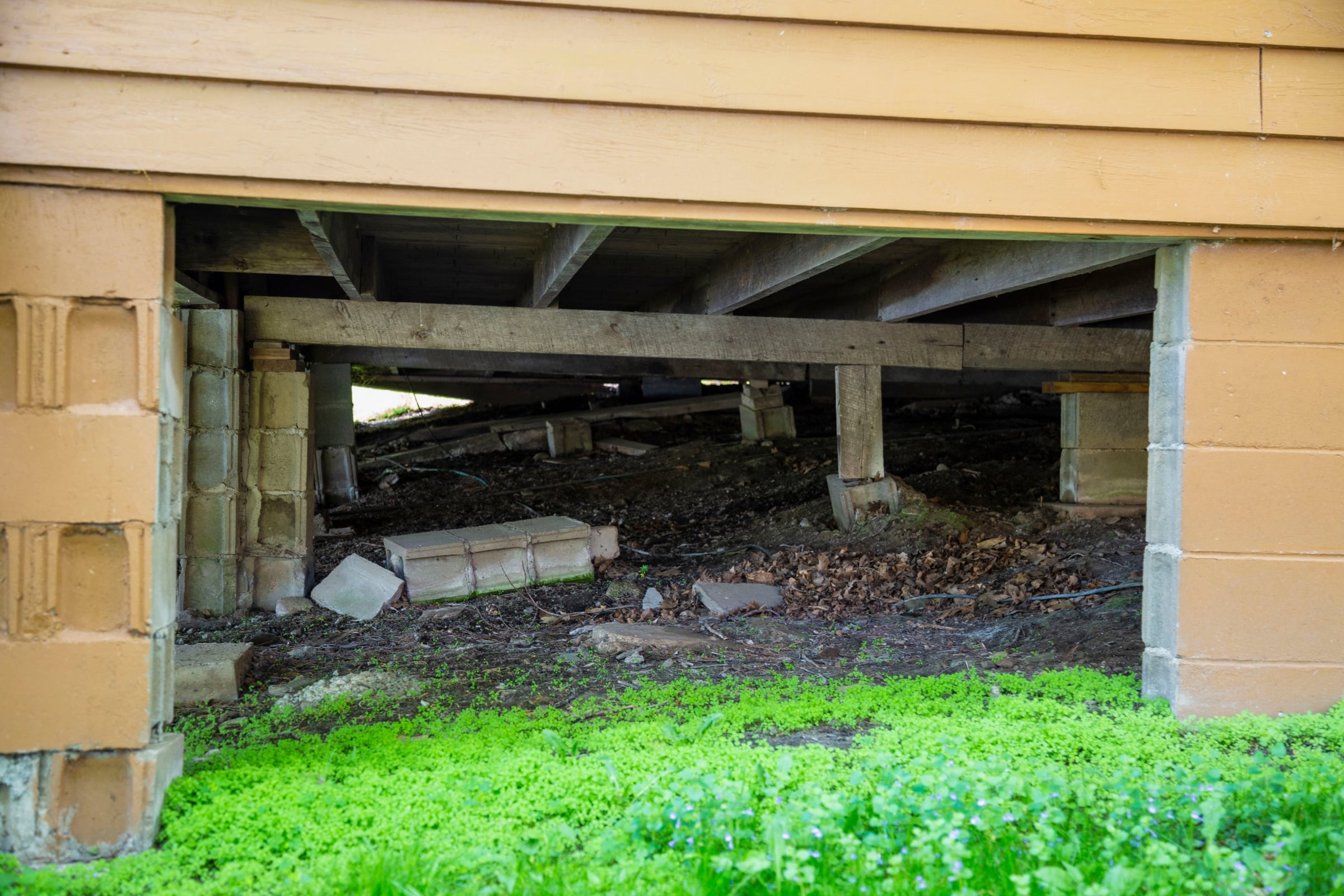 The Effects of Neglecting Your Crawl Space