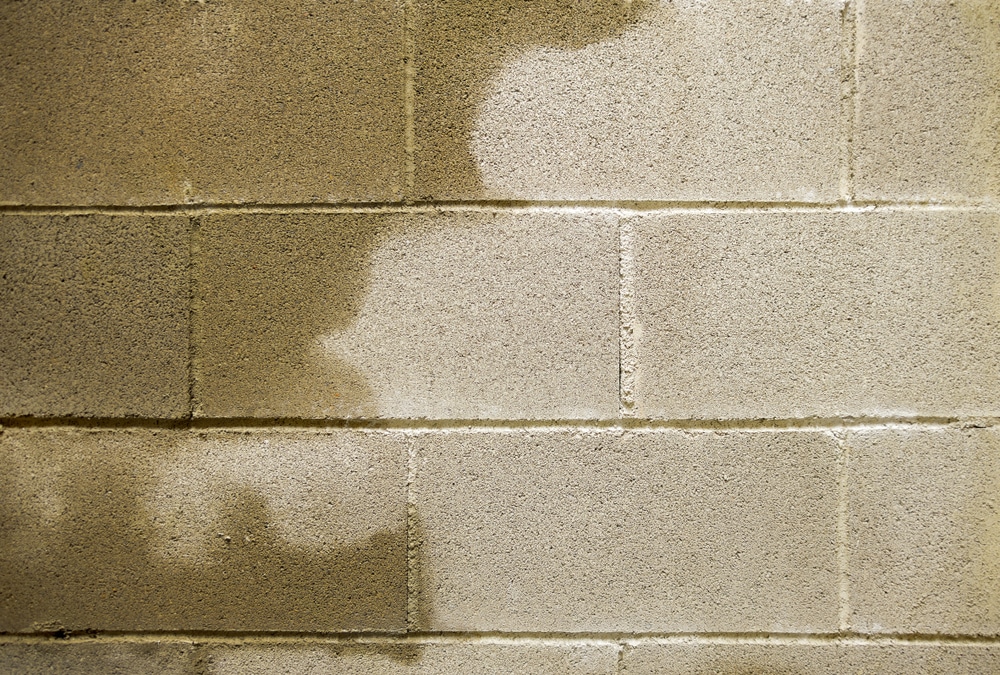 What Causes Basement Moisture and How to Fix It